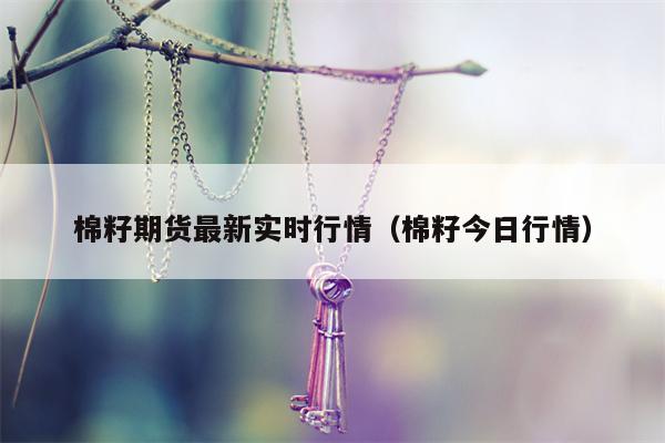 棉籽期货最新实时行情（棉籽今日行情）