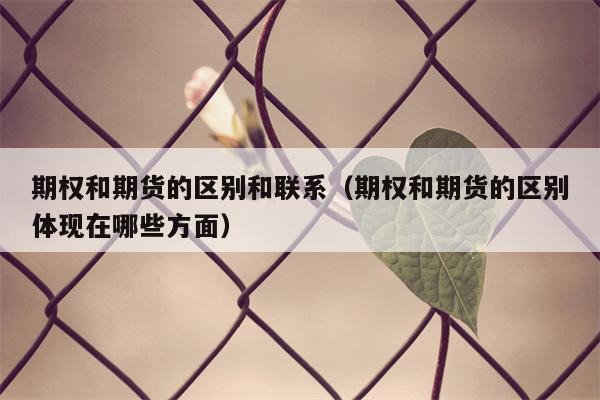 期权和期货的区别和联系（期权和期货的区别体现在哪些方面）