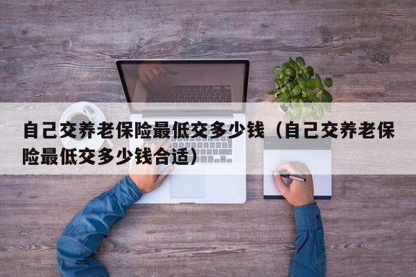 自己交养老保险最低交多少钱（自己交养老保险最低交多少钱合适）