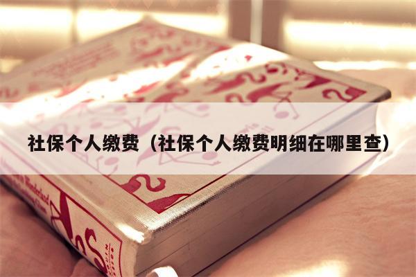 社保个人缴费（社保个人缴费明细在哪里查）