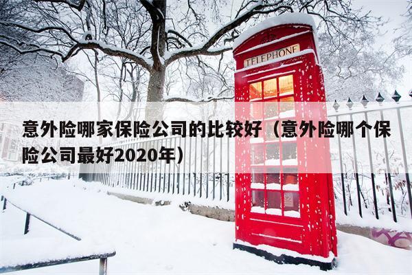 意外险哪家保险公司的比较好（意外险哪个保险公司最好2020年）