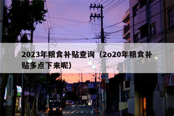 2023年粮食补贴查询（2o20年粮食补贴多点下来呢）