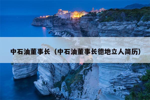 中石油董事长（中石油董事长德地立人简历）