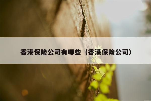 香港保险公司有哪些（香港保险公司）