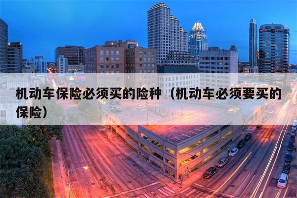 机动车保险必须买的险种（机动车必须要买的保险）
