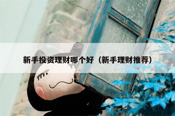 新手投资理财哪个好（新手理财推荐）