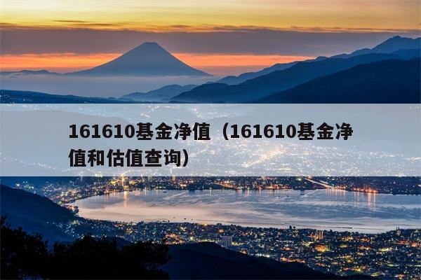 161610基金净值（161610基金净值和估值查询）