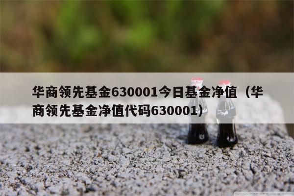 华商领先基金630001今日基金净值（华商领先基金净值代码630001）