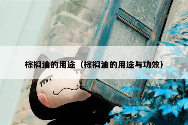 棕榈油的用途（棕榈油的用途与功效）