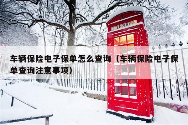 车辆保险电子保单怎么查询（车辆保险电子保单查询注意事项）