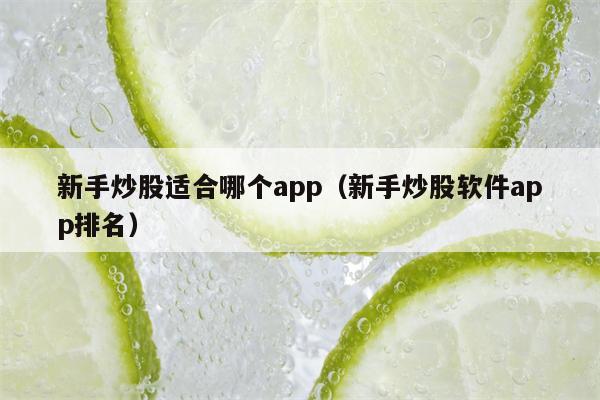 新手炒股适合哪个app（新手炒股软件app排名）