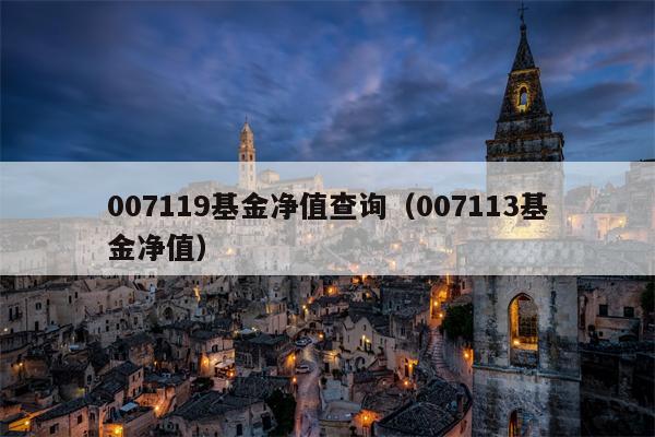 007119基金净值查询（007113基金净值）