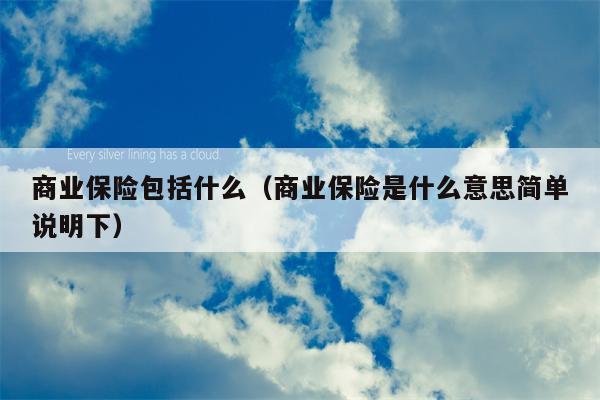 商业保险包括什么（商业保险是什么意思简单说明下）