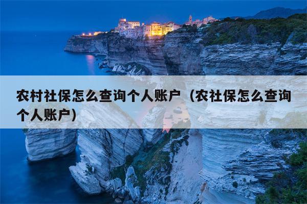 农村社保怎么查询个人账户（农社保怎么查询个人账户）