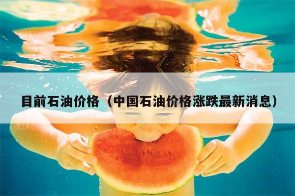 目前石油价格（中国石油价格涨跌最新消息）