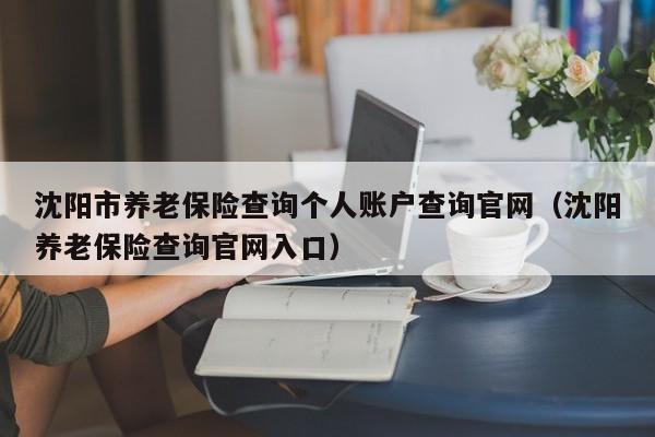 沈阳市养老保险查询个人账户查询官网（沈阳养老保险查询官网入口）