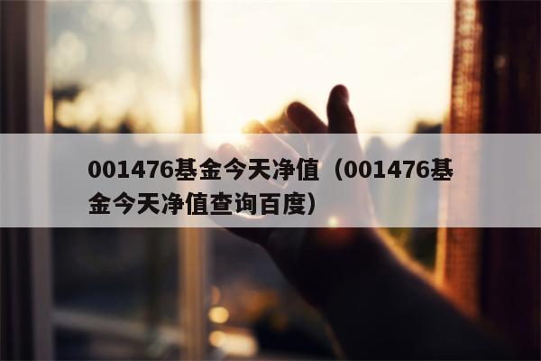 001476基金今天净值（001476基金今天净值查询百度）