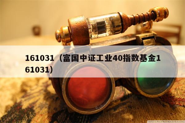 161031（富国中证工业40指数基金161031）