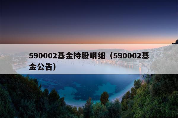 590002基金持股明细（590002基金公告）