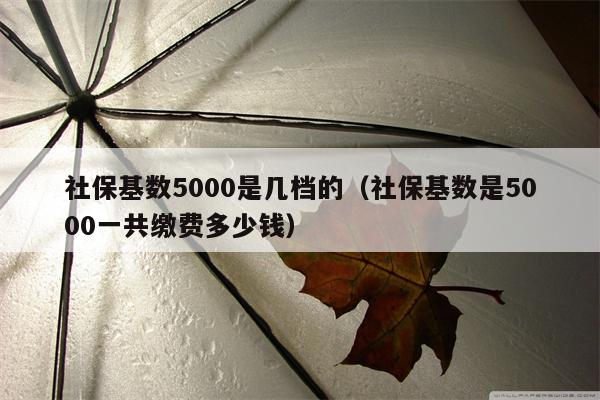 社保基数5000是几档的（社保基数是5000一共缴费多少钱）