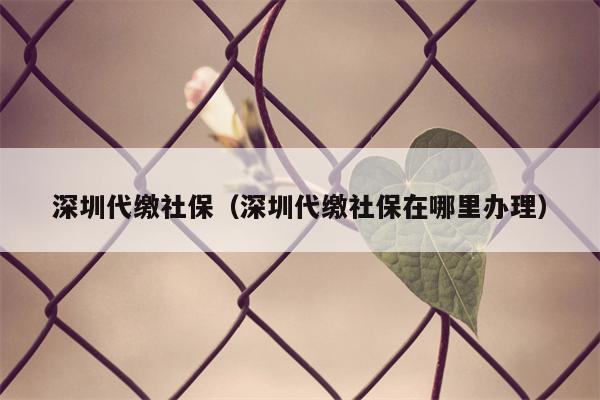 深圳代缴社保（深圳代缴社保在哪里办理）