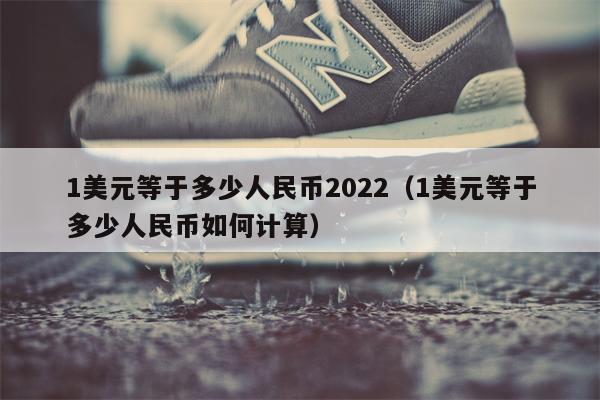1美元等于多少人民币2022（1美元等于多少人民币如何计算）