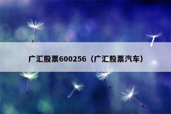 广汇股票600256（广汇股票汽车）