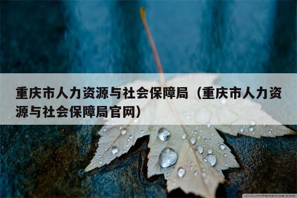 重庆市人力资源与社会保障局（重庆市人力资源与社会保障局官网）