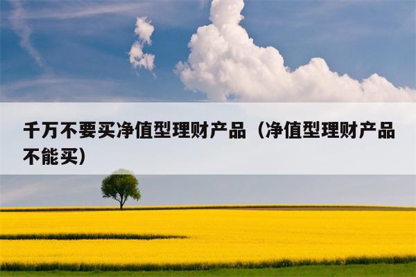 千万不要买净值型理财产品（净值型理财产品不能买）