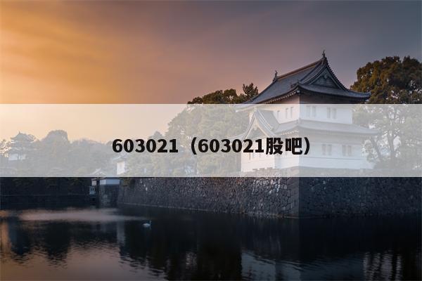 603021（603021股吧）