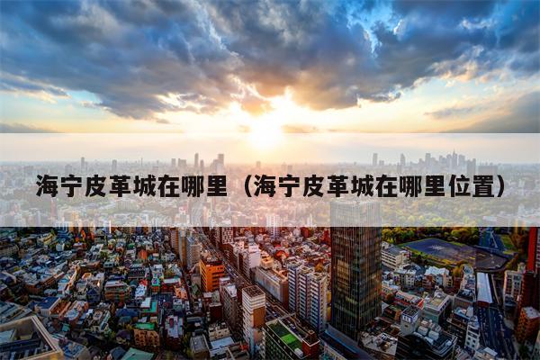 海宁皮革城在哪里（海宁皮革城在哪里位置）