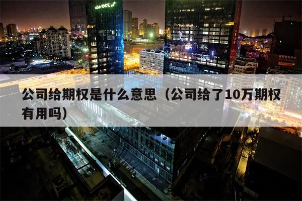 公司给期权是什么意思（公司给了10万期权有用吗）