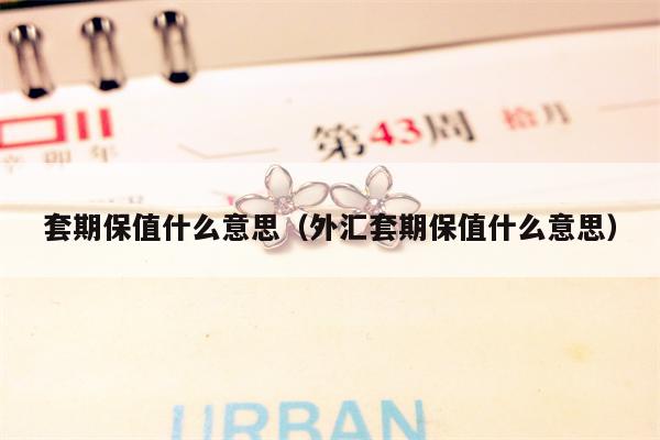 套期保值什么意思（外汇套期保值什么意思）