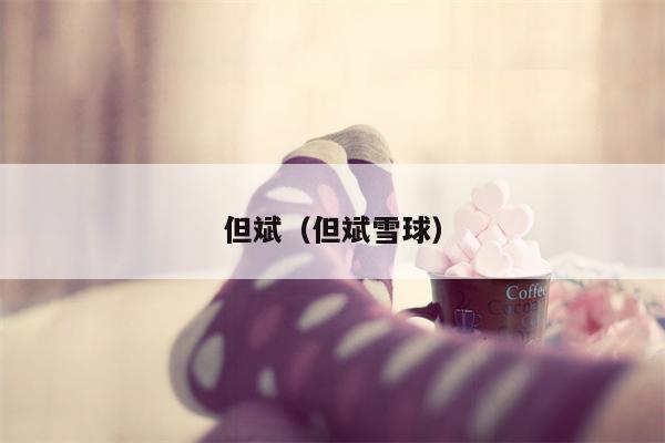 但斌（但斌雪球）