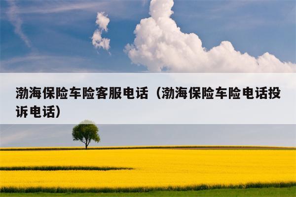 渤海保险车险客服电话（渤海保险车险电话投诉电话）
