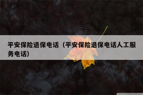 平安保险退保电话（平安保险退保电话人工服务电话）
