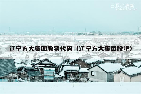 辽宁方大集团股票代码（辽宁方大集团股吧）