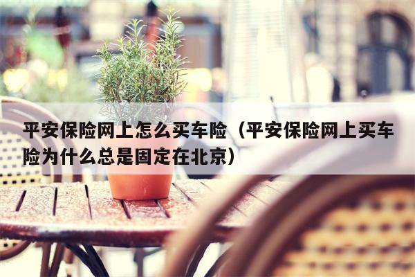平安保险网上怎么买车险（平安保险网上买车险为什么总是固定在北京）