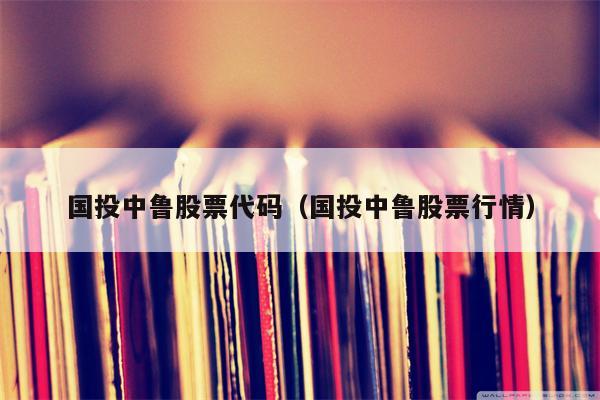 国投中鲁股票代码（国投中鲁股票行情）