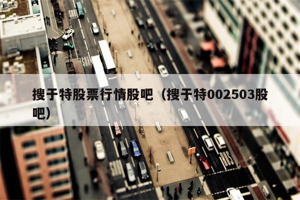 搜于特股票行情股吧（搜于特002503股吧）