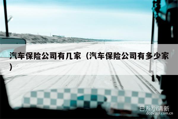 汽车保险公司有几家（汽车保险公司有多少家）