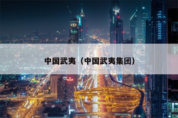 中国武夷（中国武夷集团）