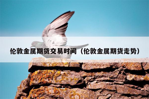 伦敦金属期货交易时间（伦敦金属期货走势）