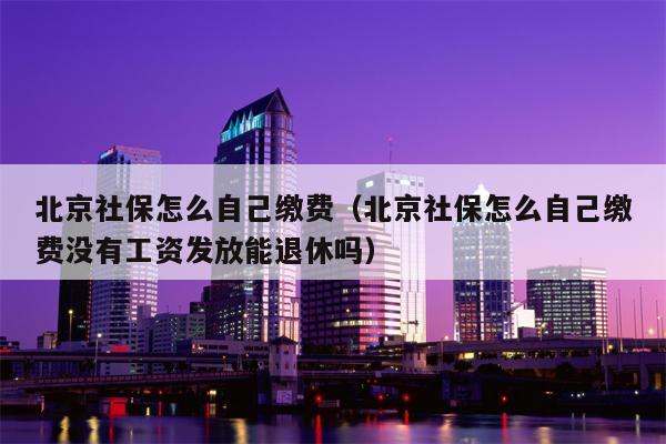 北京社保怎么自己缴费（北京社保怎么自己缴费没有工资发放能退休吗）