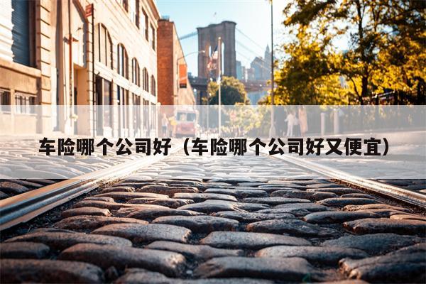 车险哪个公司好（车险哪个公司好又便宜）
