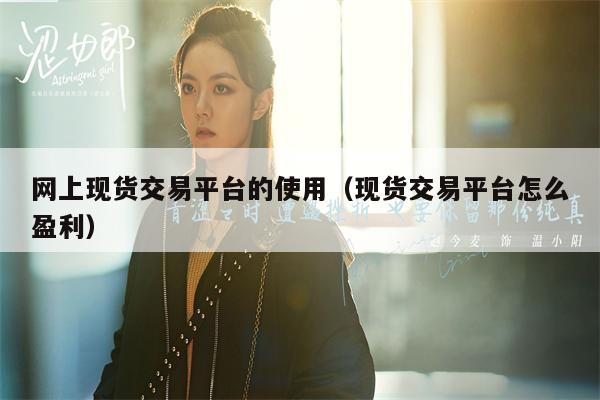 网上现货交易平台的使用（现货交易平台怎么盈利）