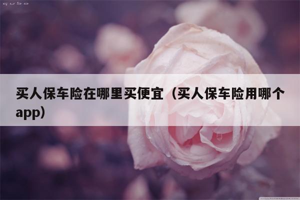 买人保车险在哪里买便宜（买人保车险用哪个app）