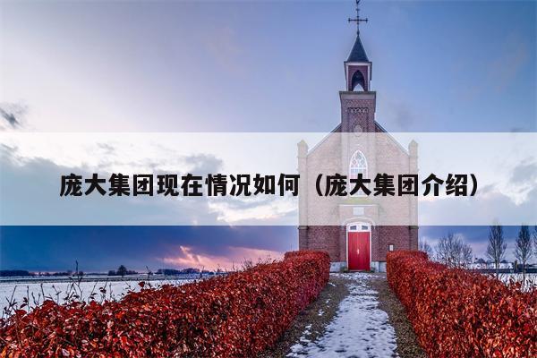 庞大集团现在情况如何（庞大集团介绍）