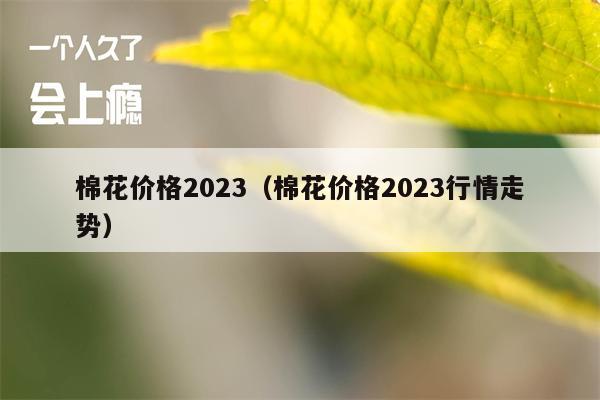 棉花价格2023（棉花价格2023行情走势）