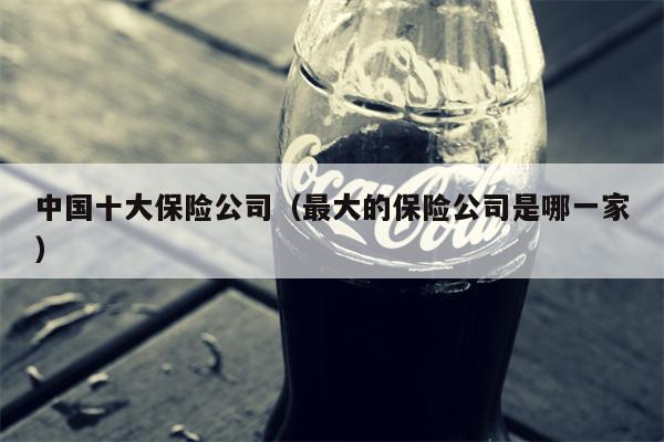 中国十大保险公司（最大的保险公司是哪一家）